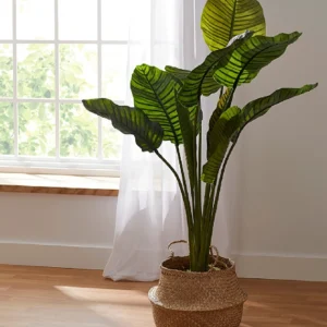 Artificial ravenala green plant