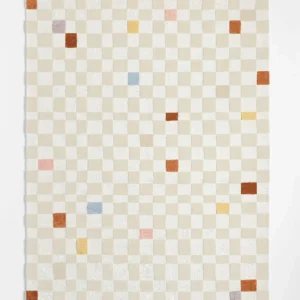 Checkerboard Multicolor Wool Kids Area Rug